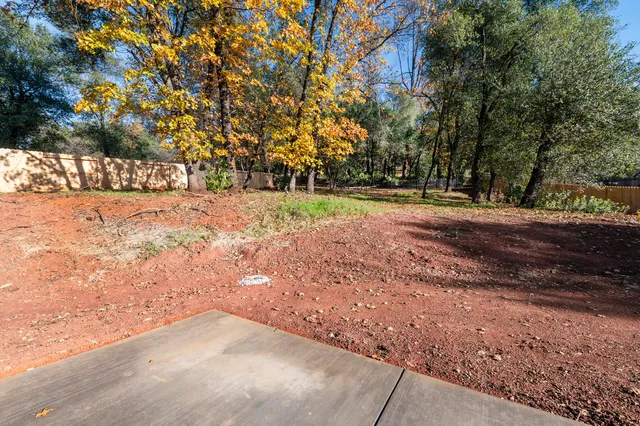 a view of dirt yard with a large tree