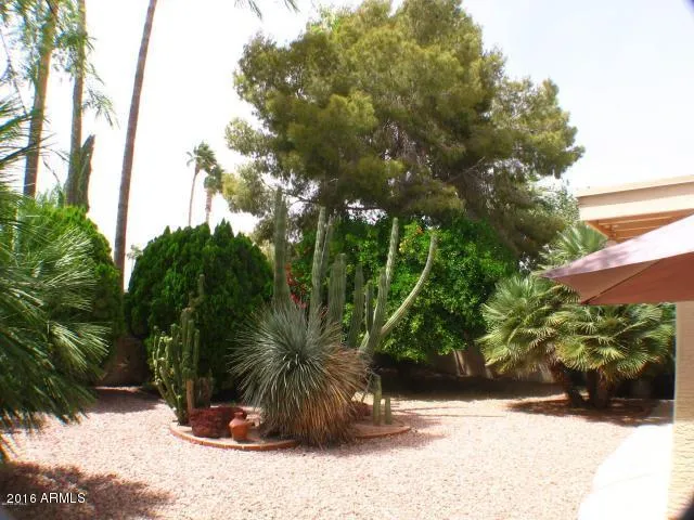 $3,500 | 26014 South Howard Drive, Sun Lakes, AZ 85248