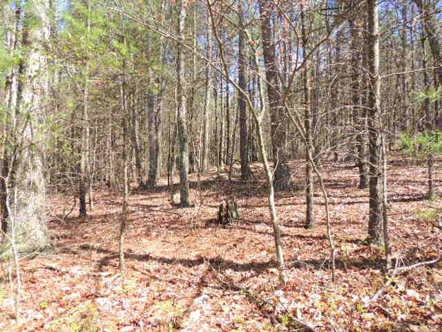 Tbd Locust Hill Road Max Meadows, VA 24360 - Photo 5 of 20 Gallery Image 5