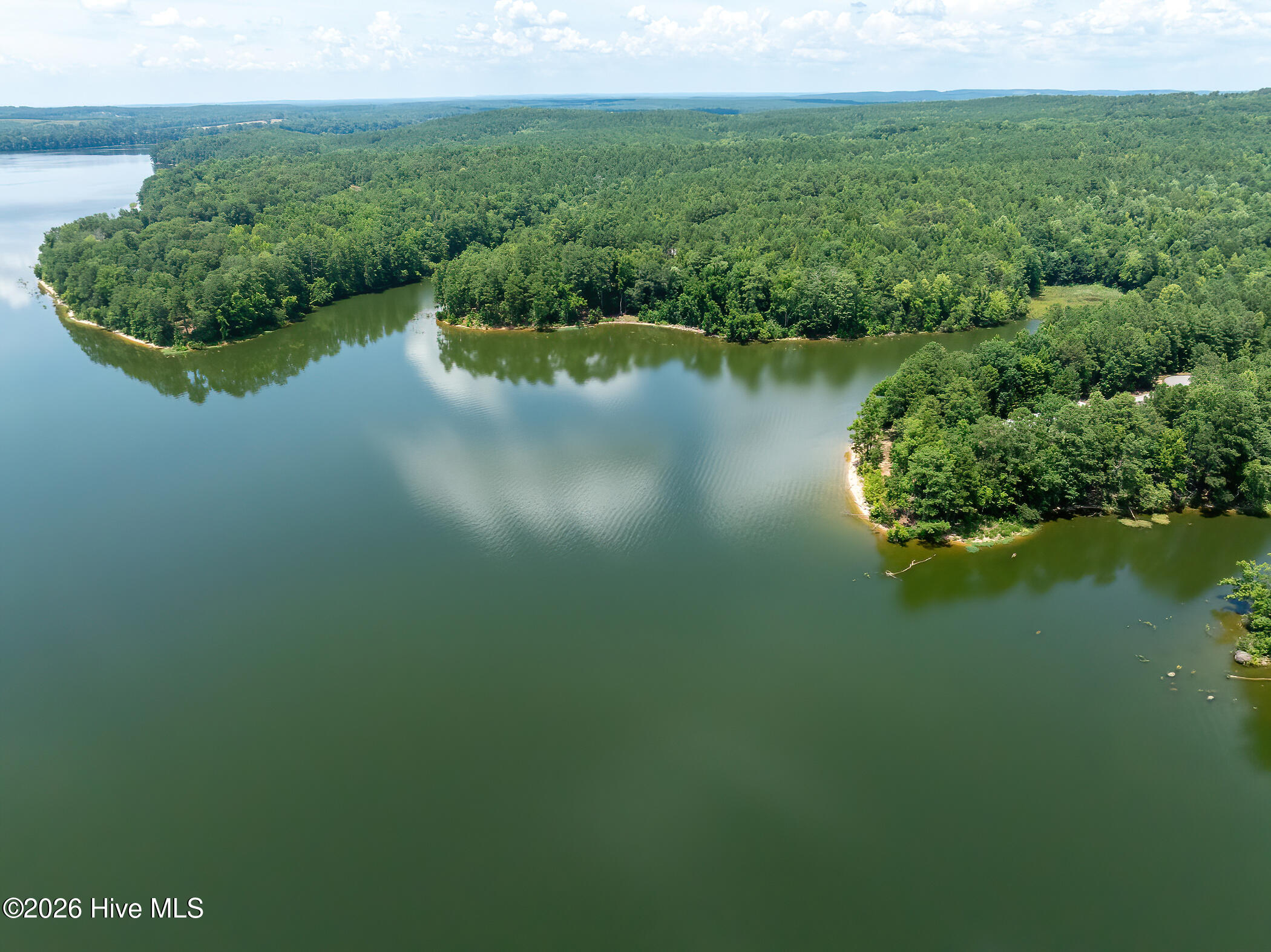 272 Riverhills Trail Rockingham, NC 28379 - Photo 11 of 23 RS 1 DJI_0030
