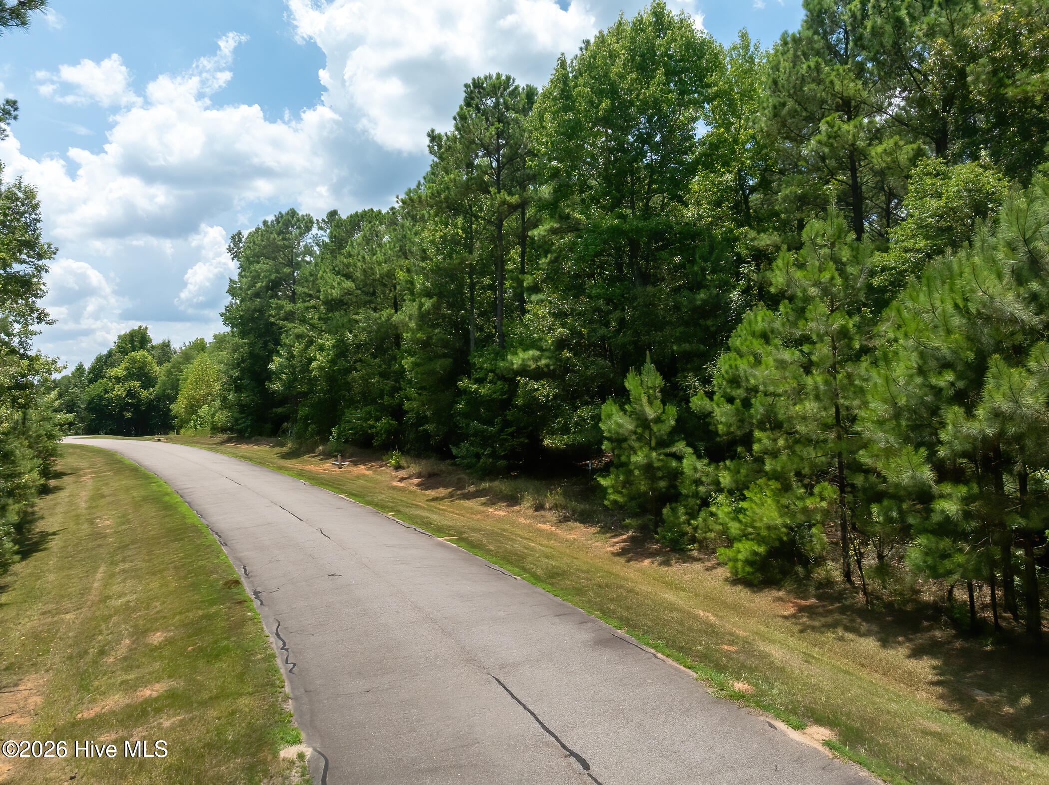 272 Riverhills Trail Rockingham, NC 28379 - Photo 20 of 23 RS 1 DJI_0020