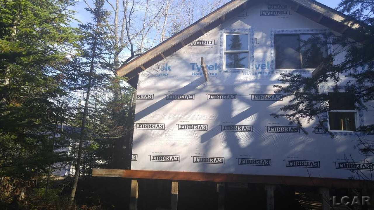 0 Worth Road Moran, MI 49760 - Photo 3 of 18 Gallery Image 3
