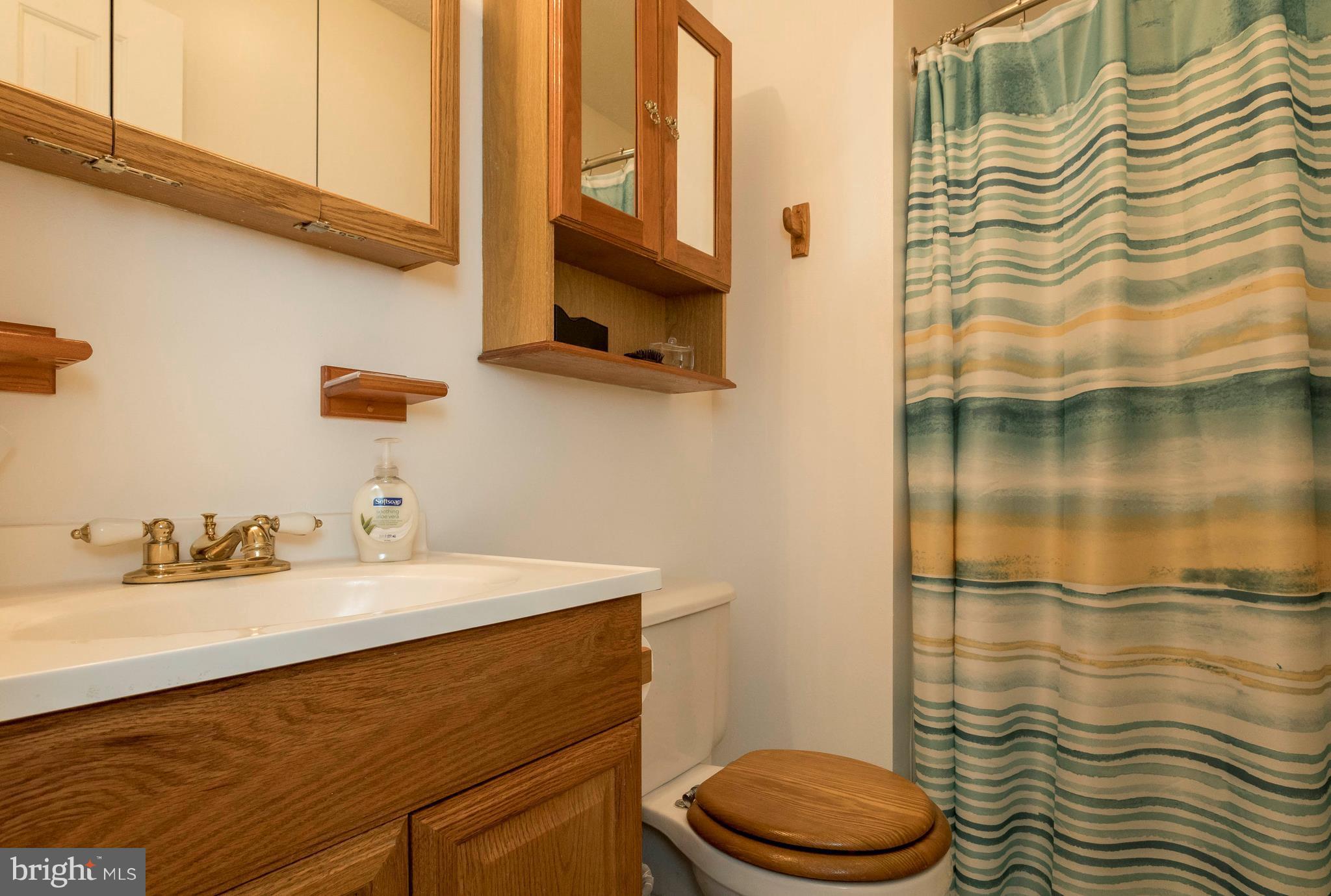 14109 Goldvein Road Goldvein, VA 22720 - Photo 13 of 23 Full master bath