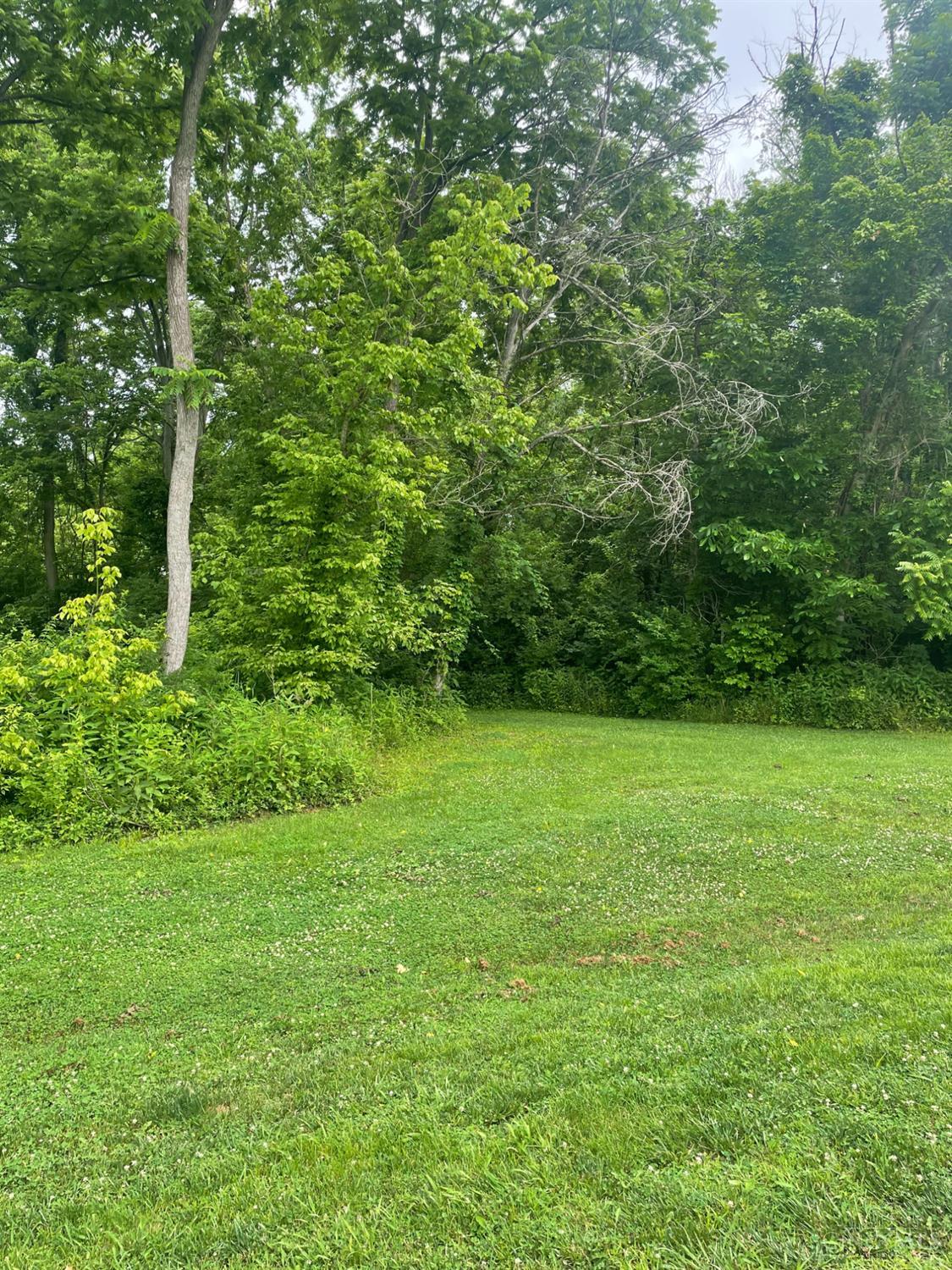 0 Palestine Road New Richmond, OH 45157 - Photo 2 of 3