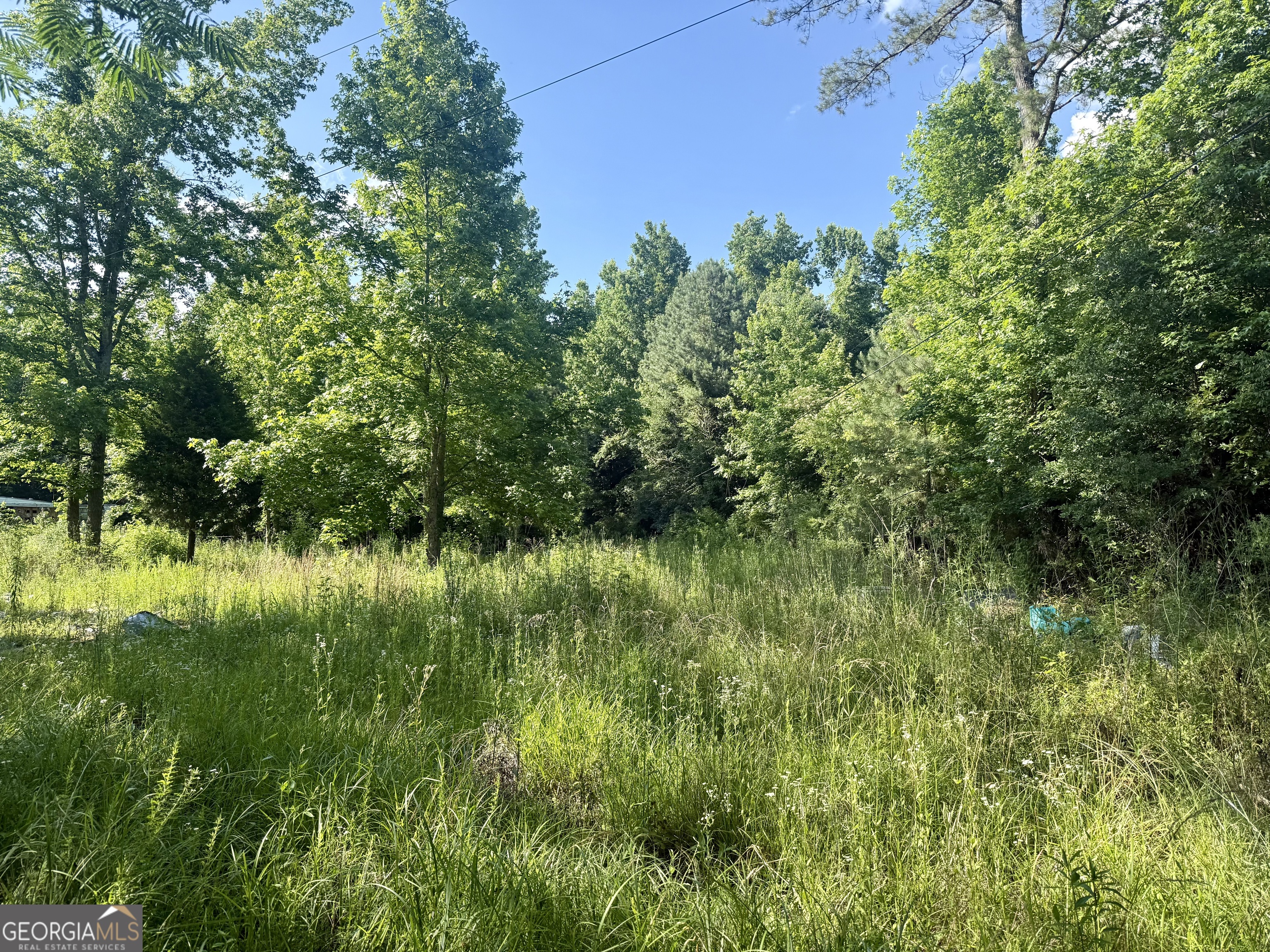 249 Weems Road Lyerly, GA 30730 - Photo 11 of 16