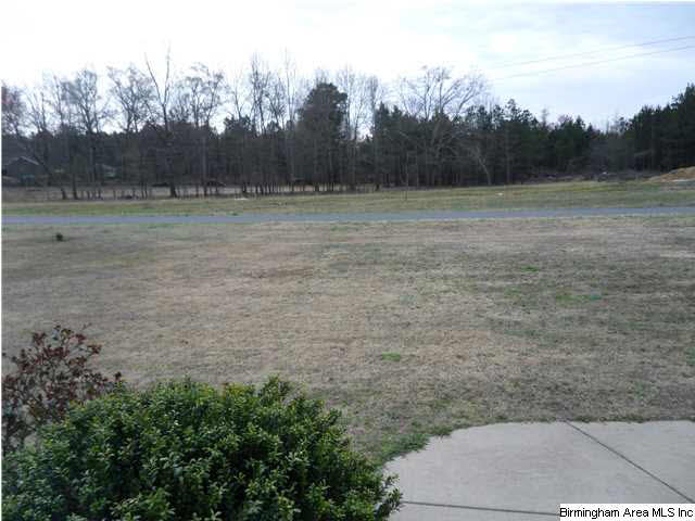 595 Marklund Road Sumiton, AL 35148 - Photo 20 of 24 Gallery Image 20