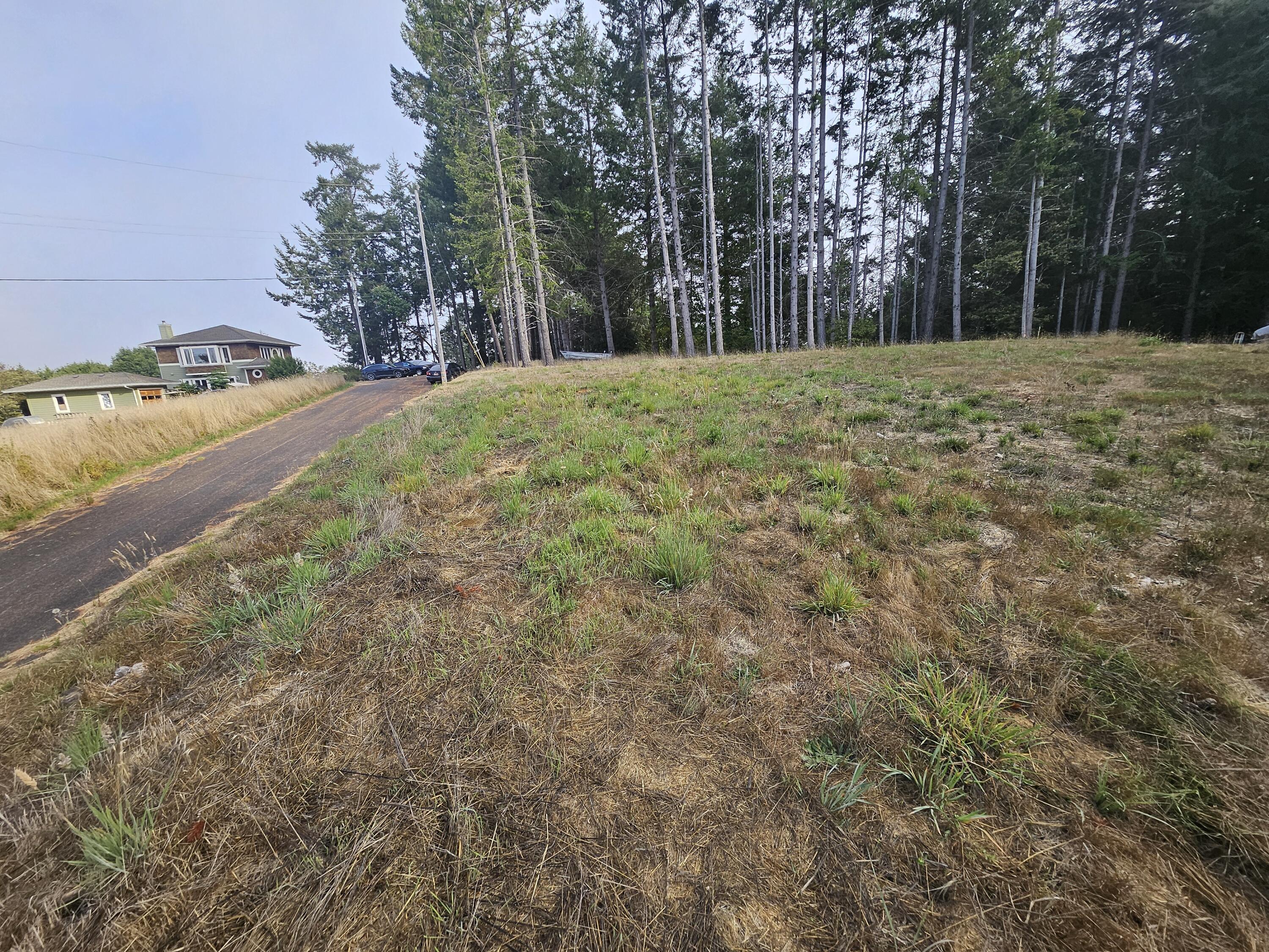 761 Redwood Road Shelter Cove, CA 95589 - Photo 5 of 9 20240917_090909
