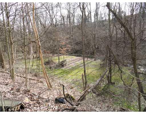 545 Dick Station Road Irwin, PA 15642 - Photo 6 of 16 Yard/Garden.