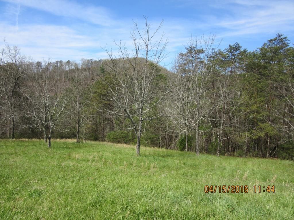 Tbd McLaney Road Watauga, TN 37694 - Photo 1 of 4 Photo 1