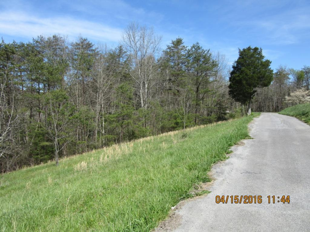 Tbd McLaney Road Watauga, TN 37694 - Photo 2 of 4 Photo 2