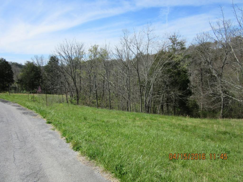Tbd McLaney Road Watauga, TN 37694 - Photo 3 of 4 Photo 3
