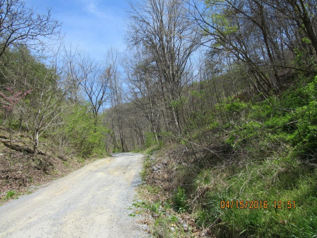 Tbd McLaney Road Watauga, TN 37694 - Photo 4 of 4 Photo 4
