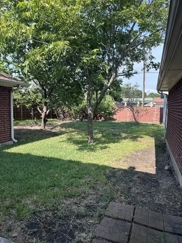 a view of a park with large trees