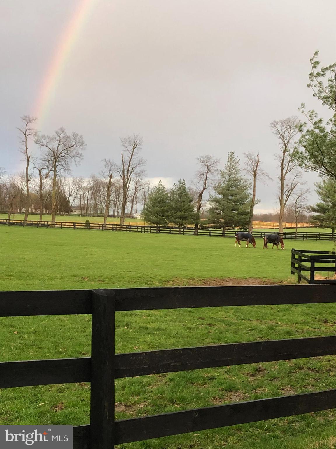 19744 Ridgeside Road Bluemont, VA 20135 - Photo 71 of 82 You & your horses can enjoy the tranquility!