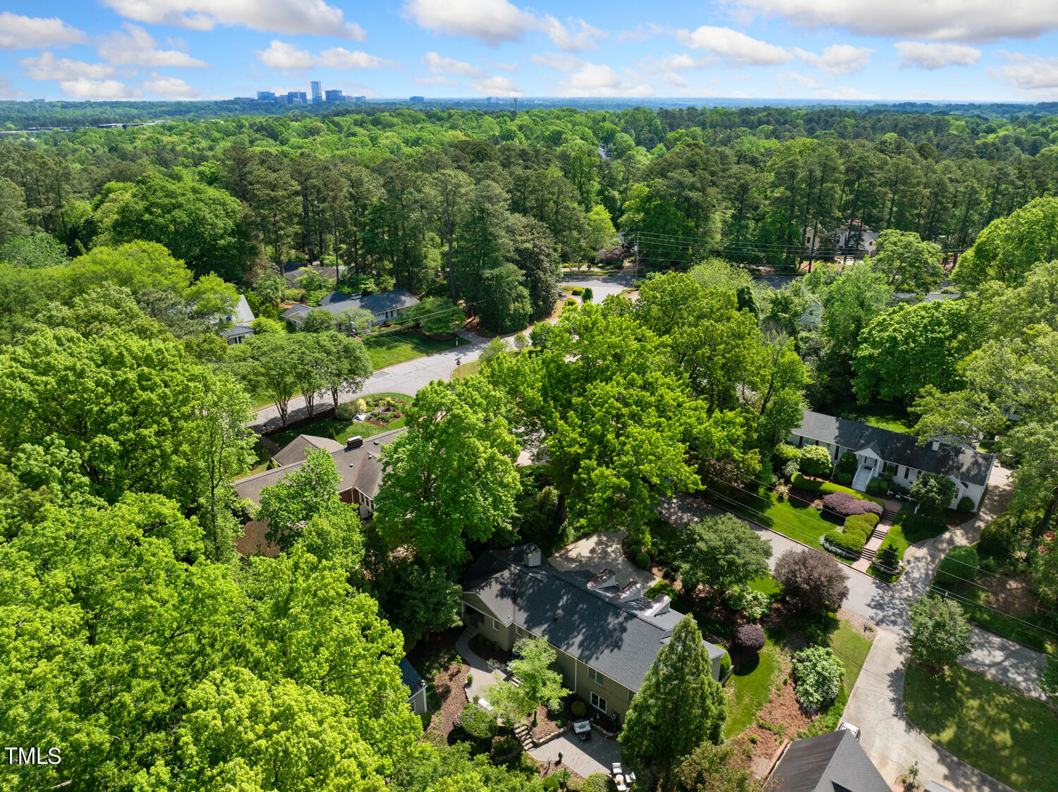 2421 Tyson Street Raleigh, NC 27612 - Photo 57 of 61 a view of a garden with a building in the background