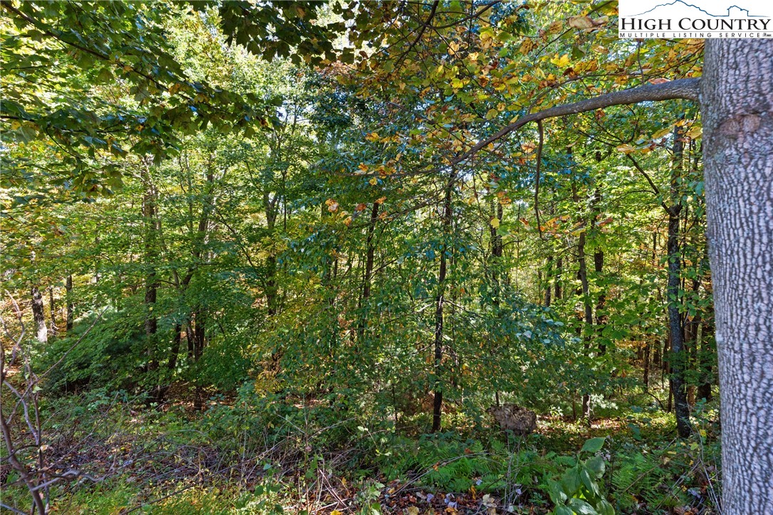 Reynolds Parkway Boone, NC 28607 - Photo 13 of 19 a view of a yard