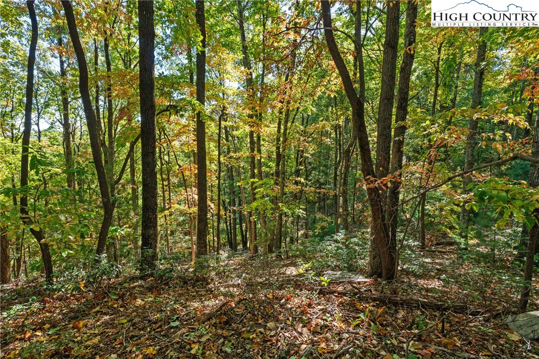 Reynolds Parkway Boone, NC 28607 - Photo 19 of 19 a backyard of a house with lots of green space