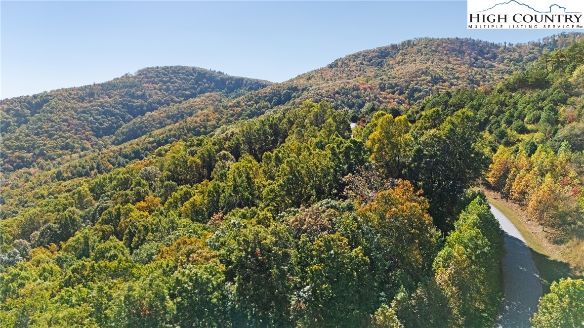 Reynolds Parkway Boone, NC 28607 - Photo 7 of 19 a view of a large tree