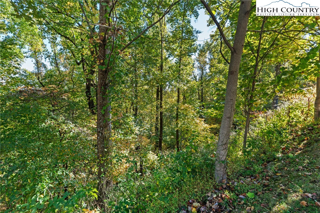 Reynolds Parkway Boone, NC 28607 - Photo 9 of 19 a view of a yard
