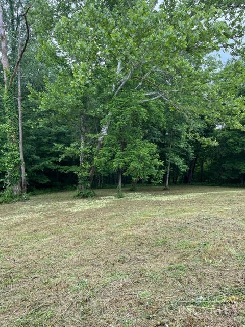 Lot #1 Middleboro Road Clarksville, OH 45113 - Photo 7 of 14