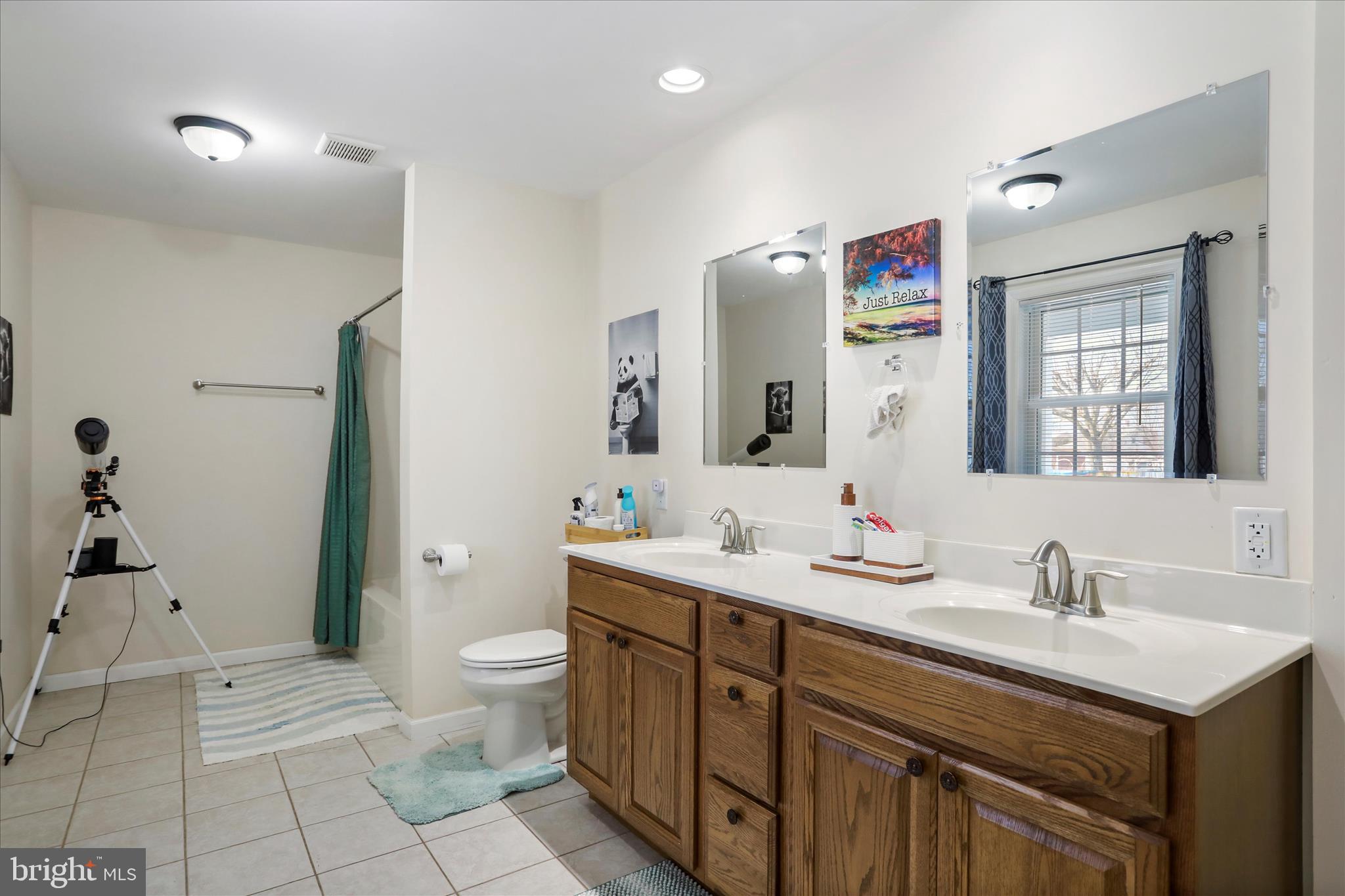 300 Park Road Stanley, VA 22851 - Photo 18 of 33 Primary bath with double sinks