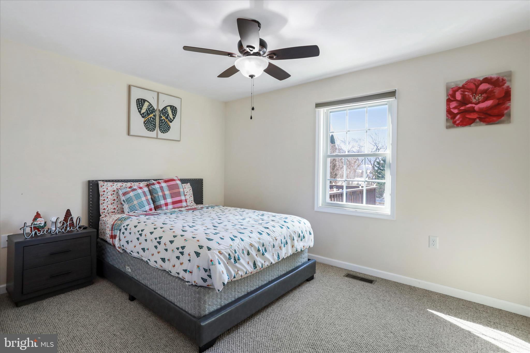 300 Park Road Stanley, VA 22851 - Photo 20 of 33 2nd Bedroom with ceiling fan