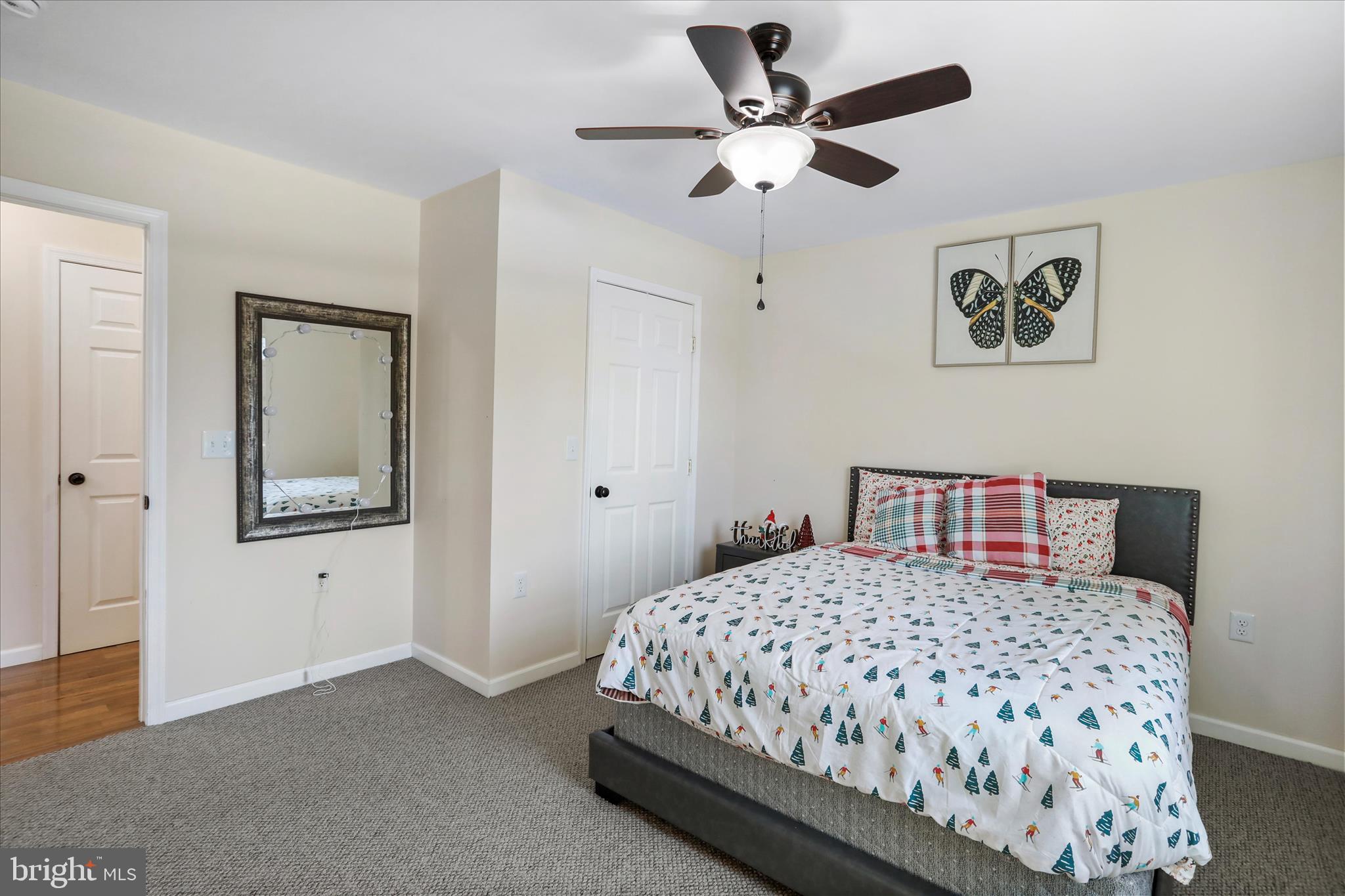 300 Park Road Stanley, VA 22851 - Photo 21 of 33 Another view of 2nd bedroom