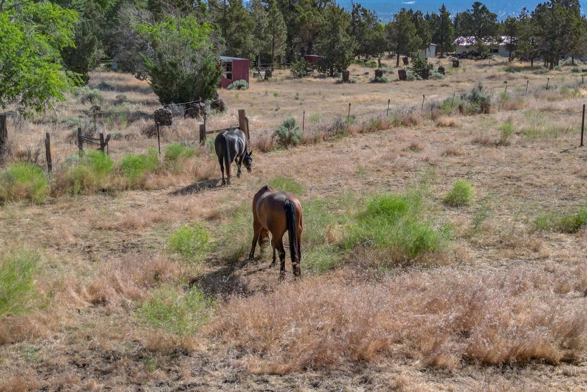 8236 Modoc Road Montague, CA 96064 - Photo 31 of 32 Gallery Image 31