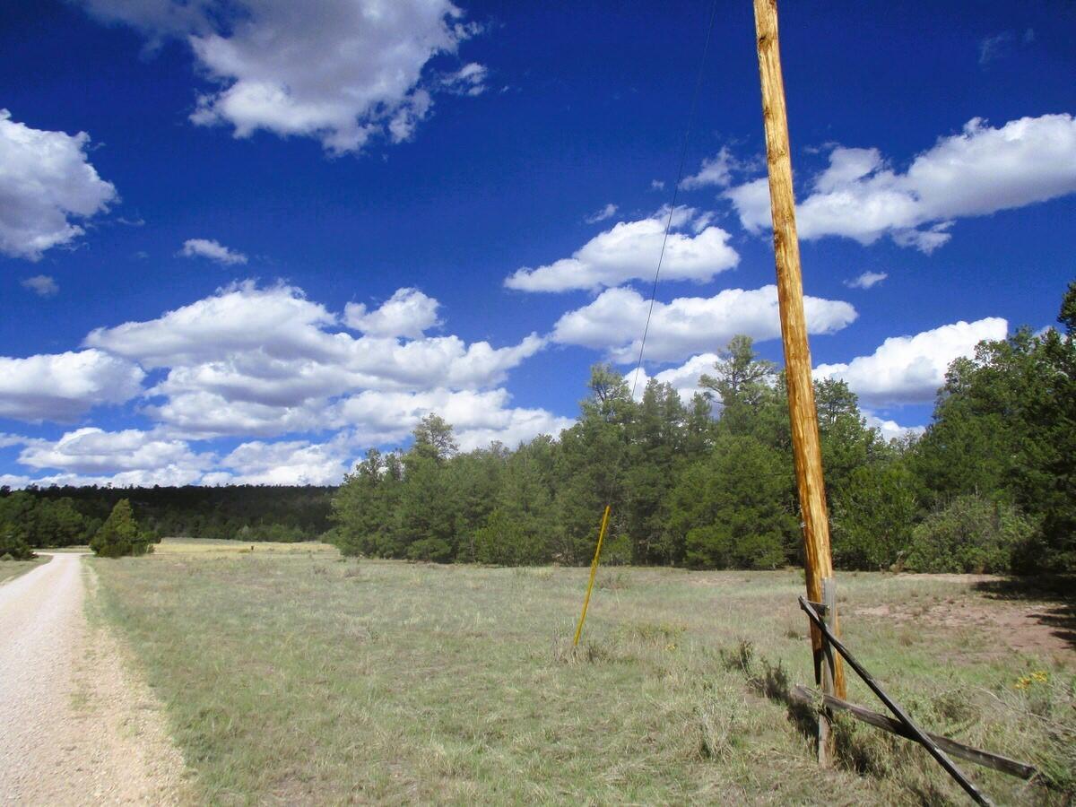Lot 5 Copperweed Road Ramah, NM 87321 - Photo 11 of 88 Gallery Image 11