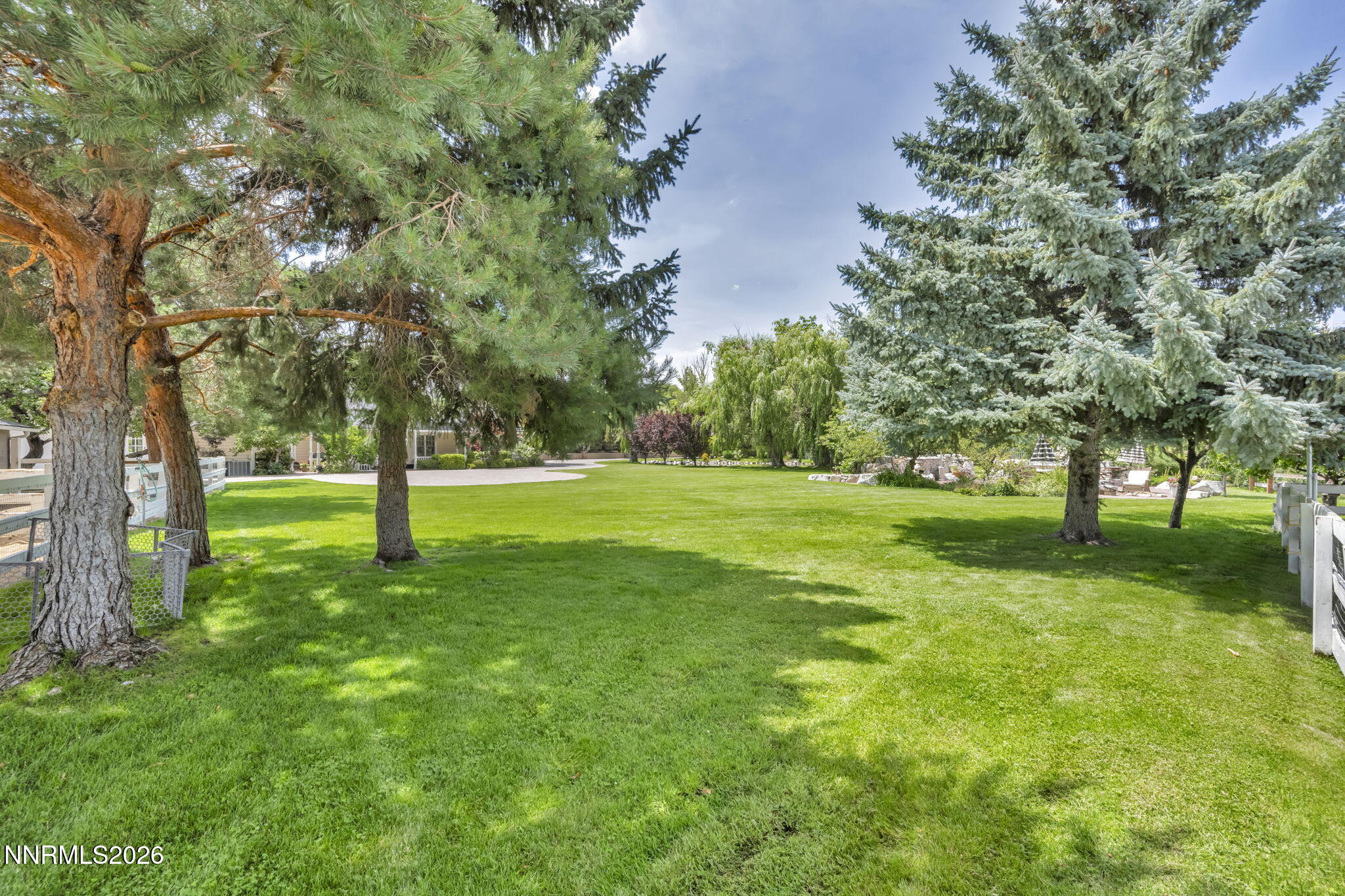 4010 Canyon Drive Reno, NV 89519 - Photo 97 of 147 a view of a tree in a park