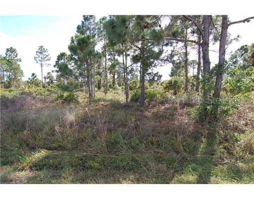 26317 Flower Road Punta Gorda, FL 33955 - Photo 1 of 1 a view of a forest with trees