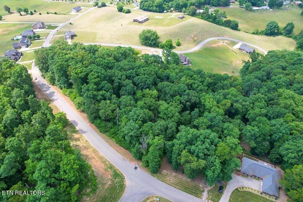 1955 Turner Landing Road Russellville, TN 37860 - Photo 2 of 14 20230520141848308223000000-o