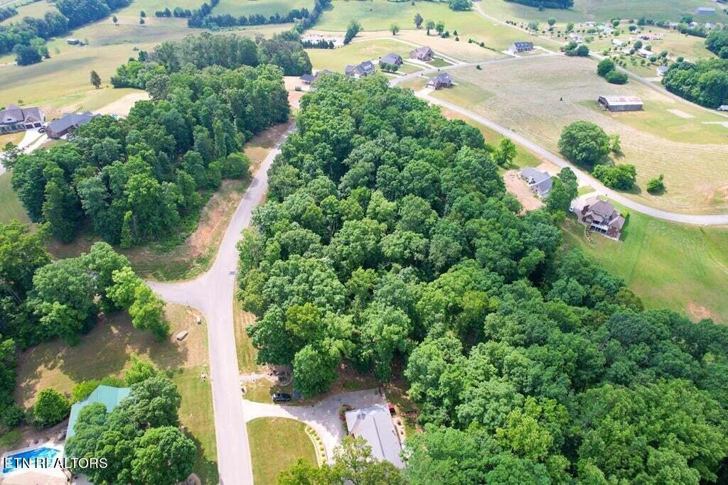 1955 Turner Landing Road Russellville, TN 37860 - Photo 3 of 14 20230520141848749960000000-o