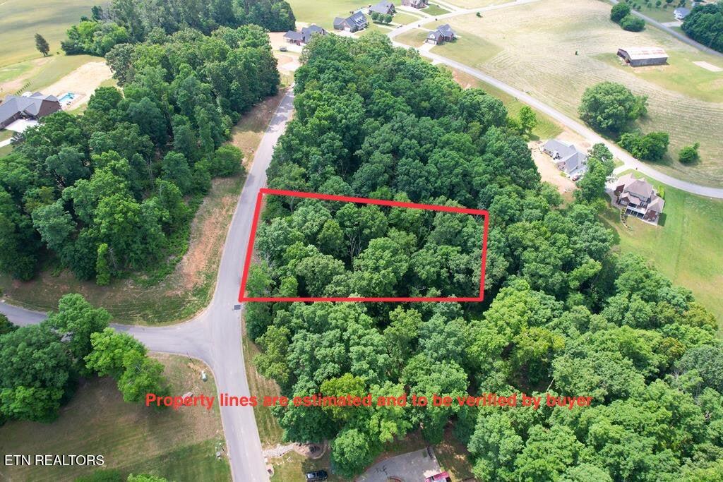 1955 Turner Landing Road Russellville, TN 37860 - Photo 4 of 14 IMG_5512