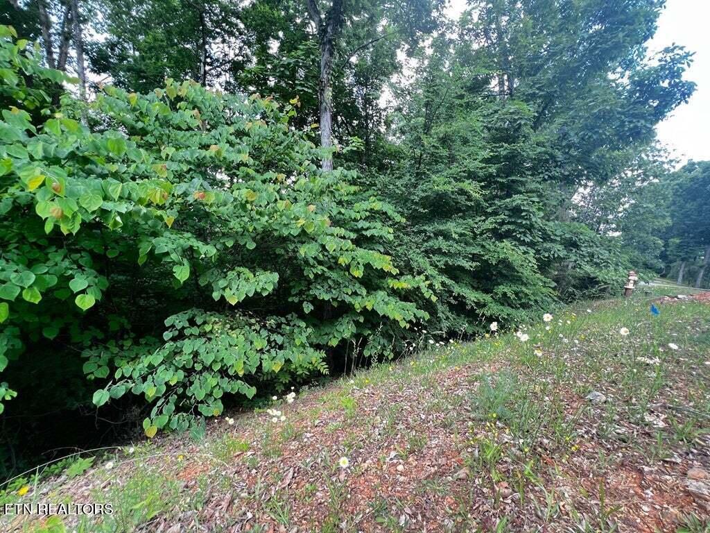 1955 Turner Landing Road Russellville, TN 37860 - Photo 5 of 23 20230520141845969732000000-o