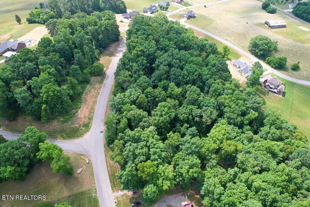 1955 Turner Landing Road Russellville, TN 37860 - Photo 5 of 14 20230520141848552737000000-o