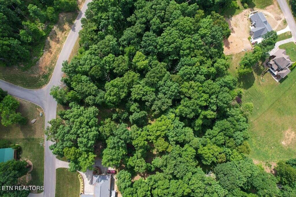 1955 Turner Landing Road Russellville, TN 37860 - Photo 6 of 14 20230520141849150255000000-o