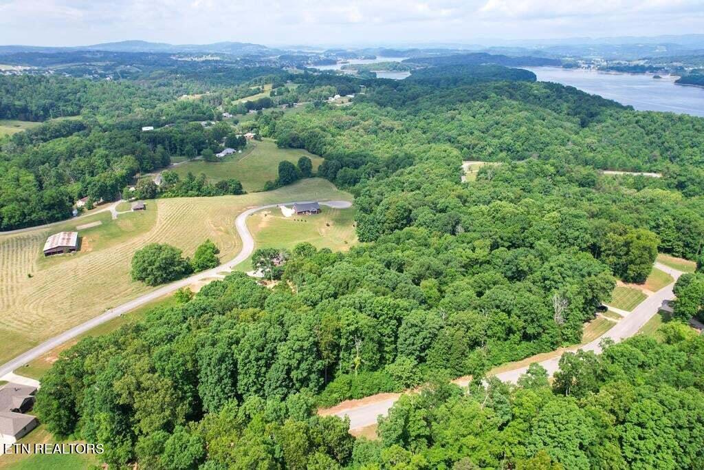1955 Turner Landing Road Russellville, TN 37860 - Photo 7 of 14 20230520141847865697000000-o