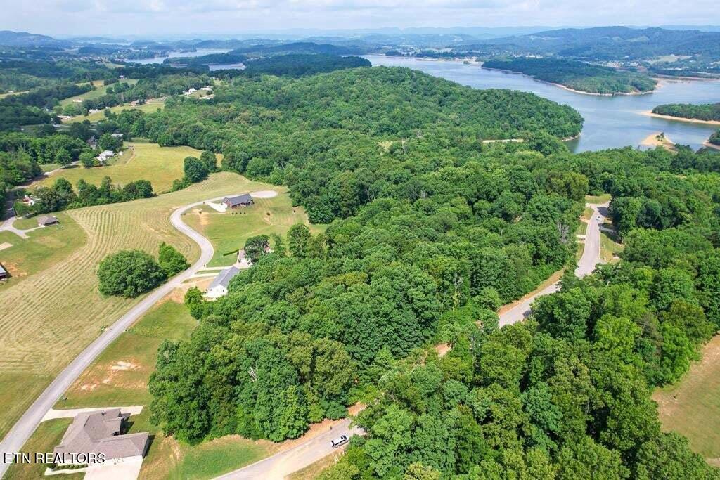 1955 Turner Landing Road Russellville, TN 37860 - Photo 8 of 14 20230520141847663098000000-o