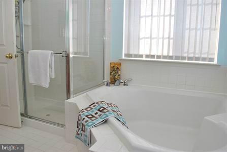 14303 Ashleigh Greene Road Boyds, MD 20841 - Photo 15 of 25 Bath (Master)