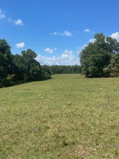 0 Russell Springs Road Russell Springs, KY 42642 - Photo 3 of 7 land6