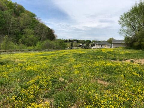 810 Ottway Road Greeneville, TN 37745 - Photo 37 of 44 IMG_3617