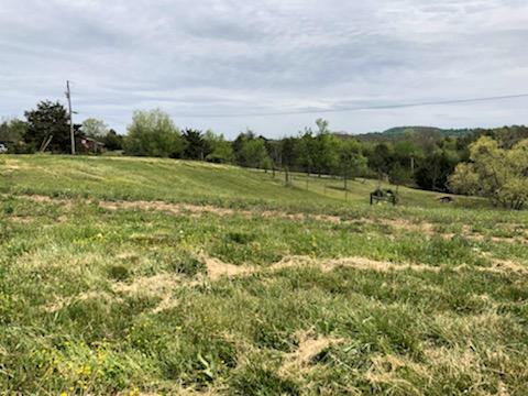 810 Ottway Road Greeneville, TN 37745 - Photo 40 of 44 IMG_3622