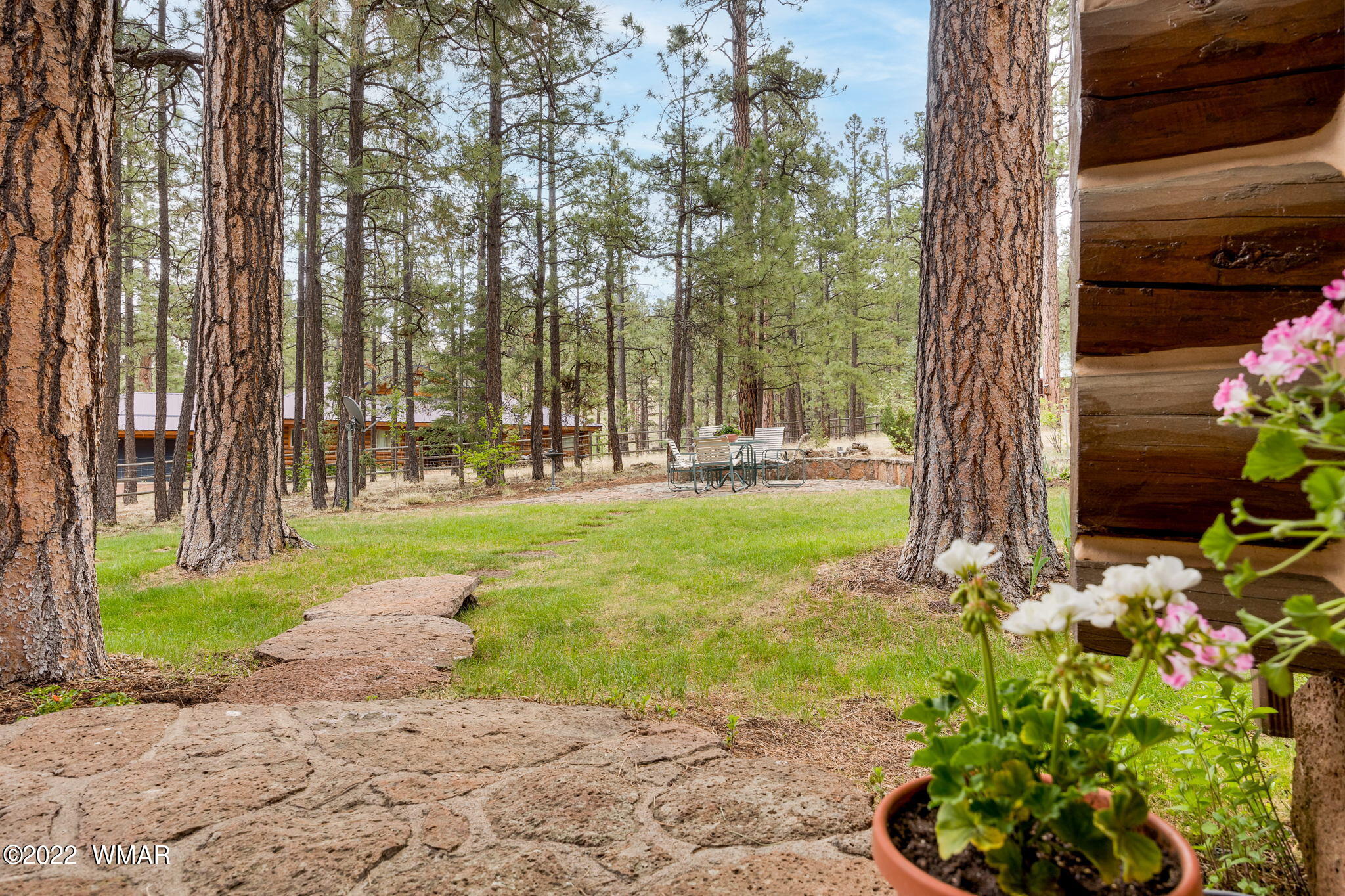 26 Cr Road Eagar, AZ 85925 - Photo 12 of 32