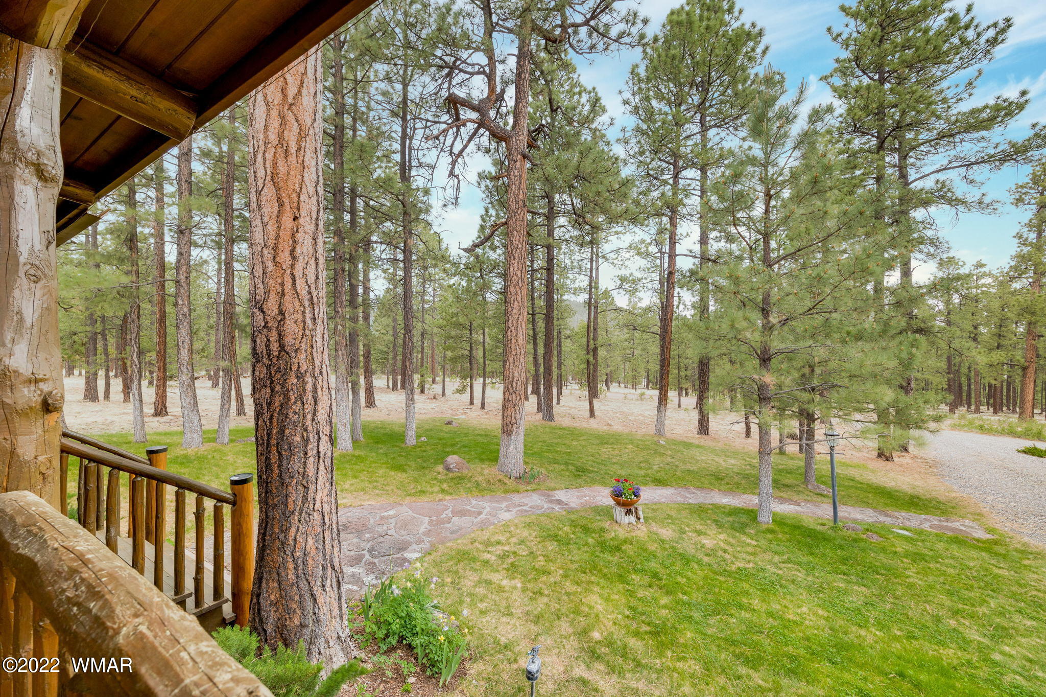 26 Cr Road Eagar, AZ 85925 - Photo 7 of 32