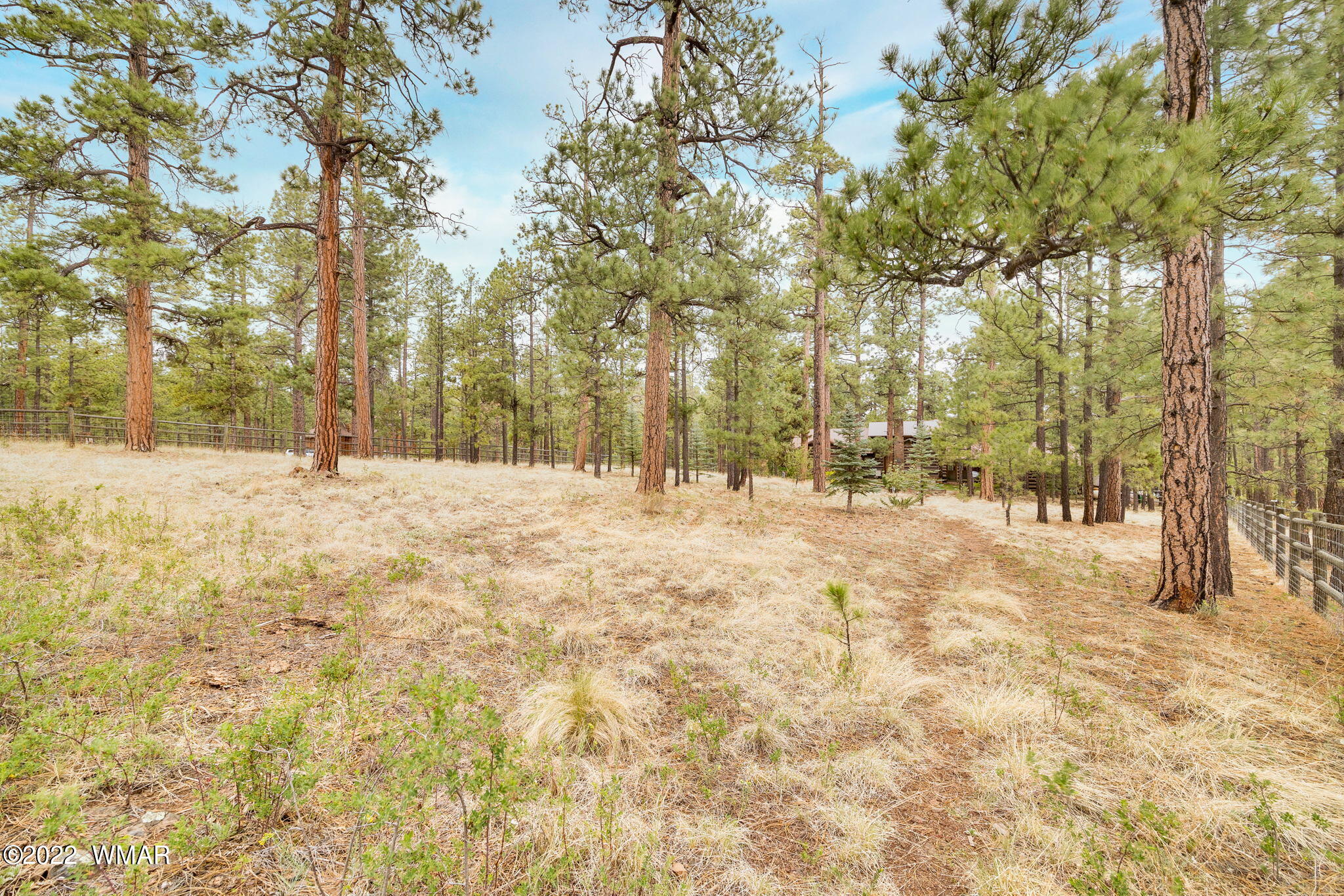 26 Cr Road Eagar, AZ 85925 - Photo 9 of 32