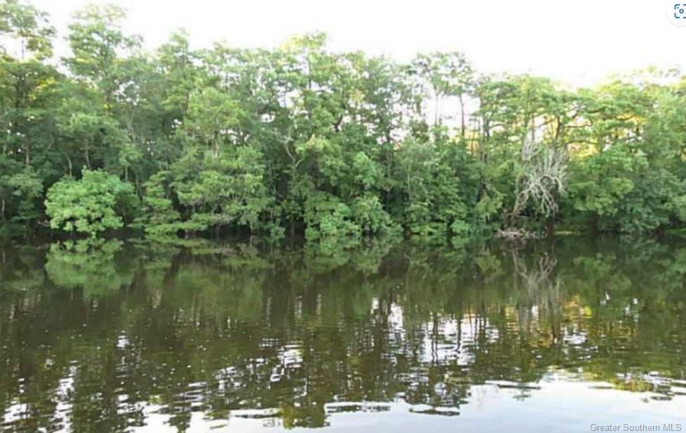 River Road Westlake, LA 70669 - Photo 3 of 5