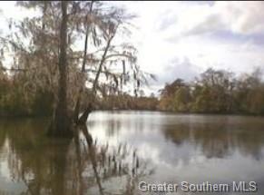 River Road Westlake, LA 70669 - Photo 5 of 5