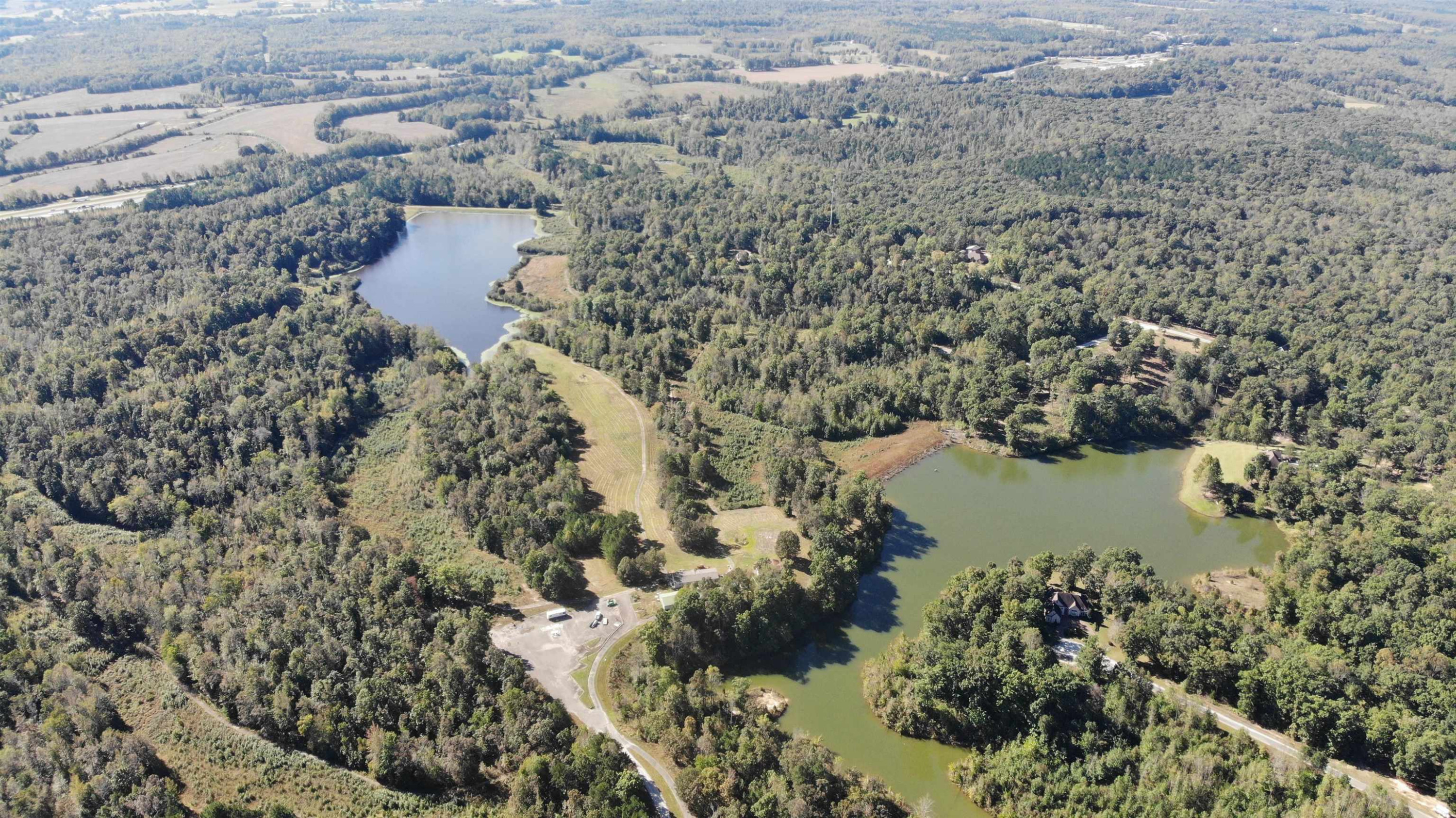 400 Summit Chase Cedar Grove, TN 38321 - Photo 6 of 17 Photo 6