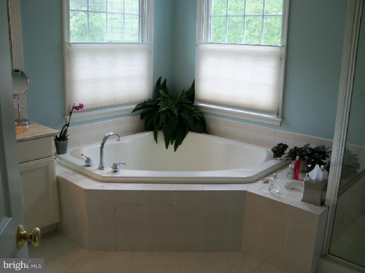 1 Harwood Way Medford, NJ 08055 - Photo 11 of 24